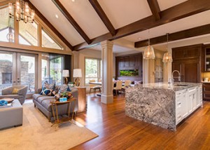 featured living room with a vaulted ceiling